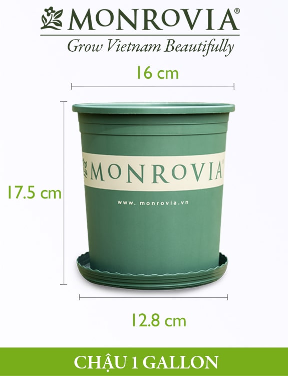 Chậu nhựa trồng cây Monrovia 1gl, chậu trồng cây, chậu cây cảnh mini, để bàn, treo ban công, treo tường, cao cấp