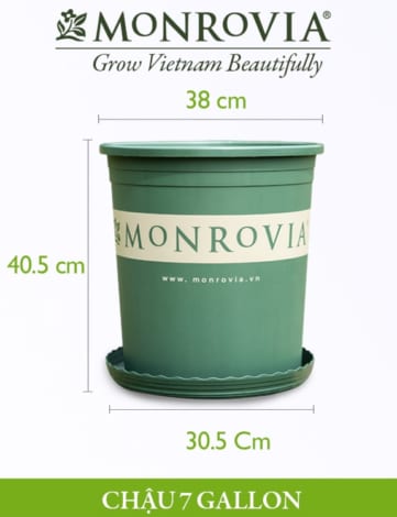 Chậu nhựa trồng cây Monrovia 7gl, chậu trồng cây, chậu cây cảnh mini, để bàn, treo ban công, treo tường, cao cấp