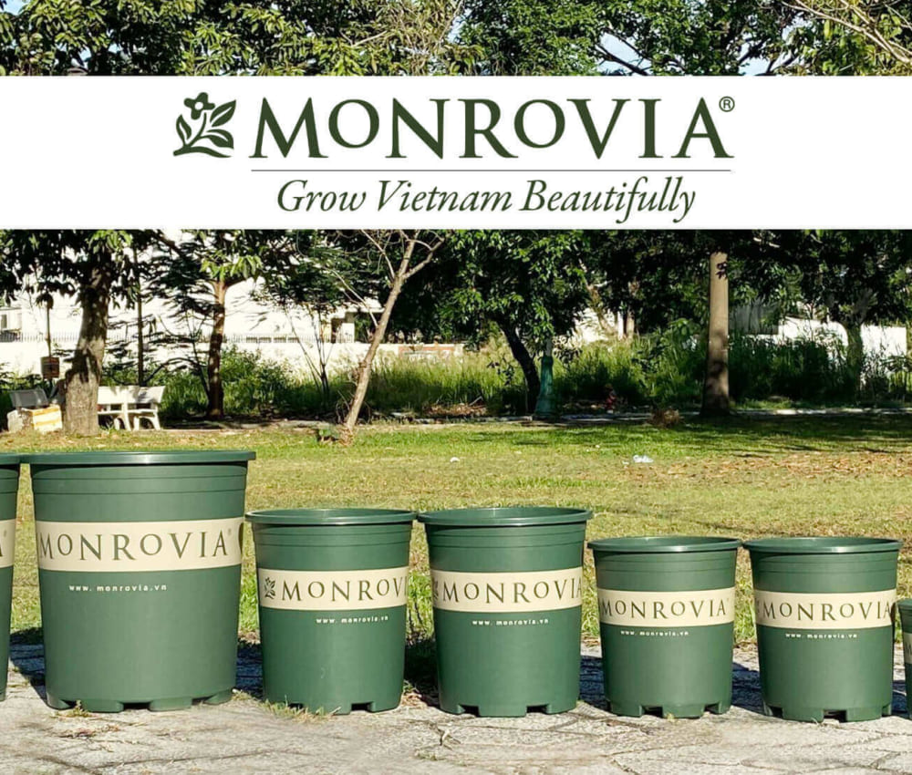 Chậu Monrovia được phân loại như thế nào?