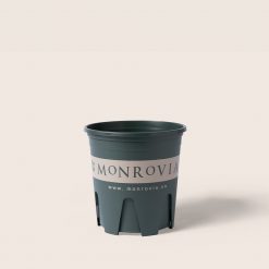 chau-monrovia-2-gallon_1