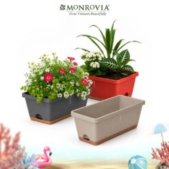 Bộ chậu chữ nhật Monrovia