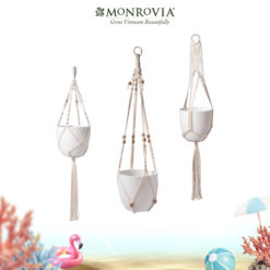 Dây treo chậu cây Macrame Monrovia