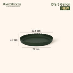 Đĩa lót chậu Mon xanh - 5 Gallon