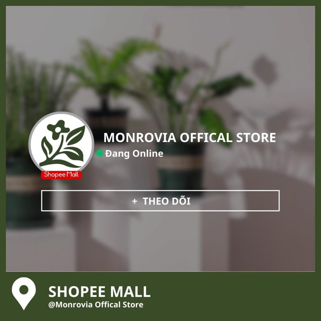 monrovia-shopee