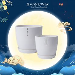 Chậu nhựa trồng cây Monrovia Trắng