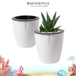 Chậu tự tưới H009