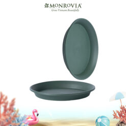 Đĩa lót chậu M-series
