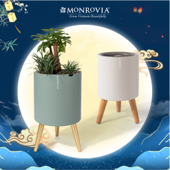 Chậu tự tưới thông minh Trụ - 3 chân