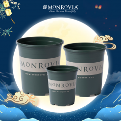 Chậu nhựa trồng cây Monrovia O-series