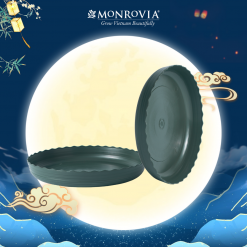 Đĩa lót chậu O-series | Xanh