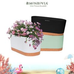 Chậu nhựa trồng hoa, cây cảnh A610 Monrovia
