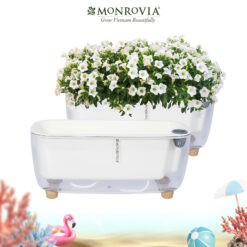 Chậu tự tưới trong suốt G211