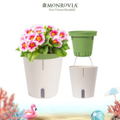 Chậu Monrovia tự tưới Nhật Bản