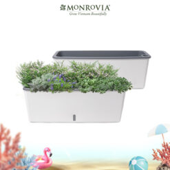 Chậu tự tưới SC06